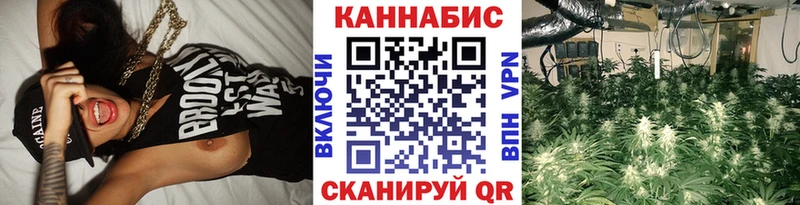 Бошки марихуана семена  Суджа 